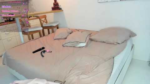lili_and_niki @ chaturbate on 20250820