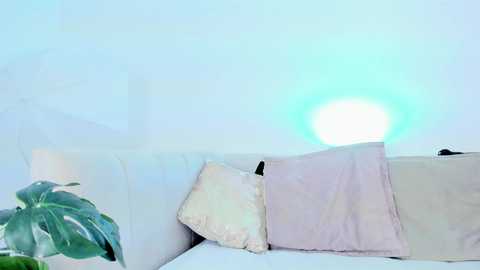 sophiehill_gh @ chaturbate on 20250820