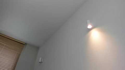 twerking_girl_ @ chaturbate on 20250820