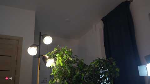 veronica_sland @ chaturbate on 20250820