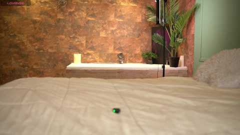 ashley_jones9 @ chaturbate on 20250821