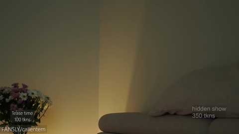 ms_seductive @ chaturbate on 20250821