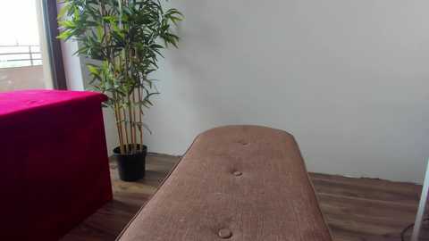 seven_sinsss @ chaturbate on 20250821
