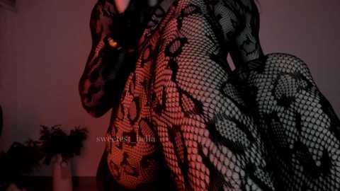 sweetest_bella @ chaturbate on 20250821