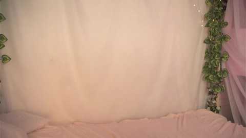 Media: cutie_cookiee Chaturbate 2025-08-23 02:50:00