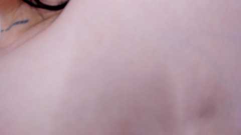 guadalupe21_ @ chaturbate on 20250823