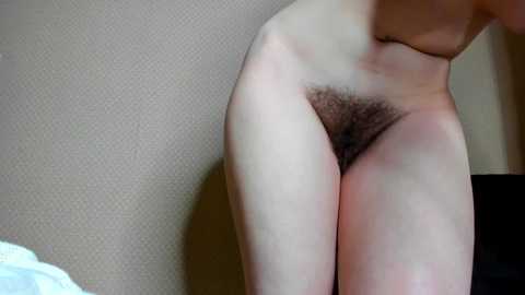 pola_xx