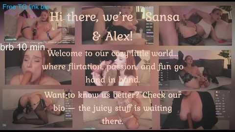 sansa_mur