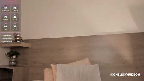 Media: chelsey_hudson Chaturbate 2025-08-25 18:17:00