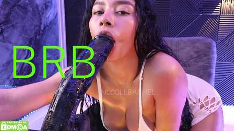 nicollbashel