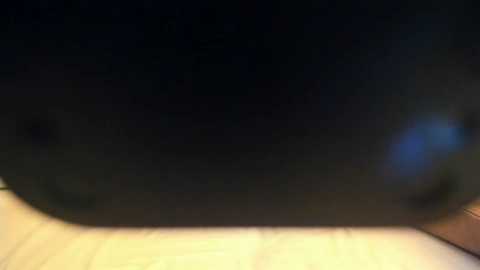 catnips_cabaret