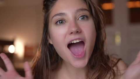 mia_dynasty