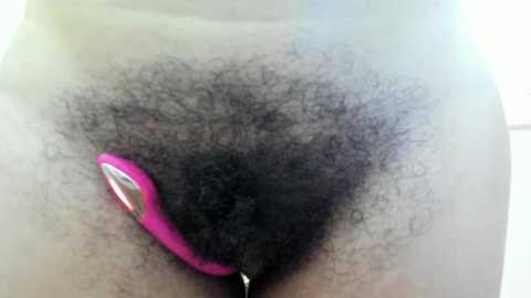 nicebrown