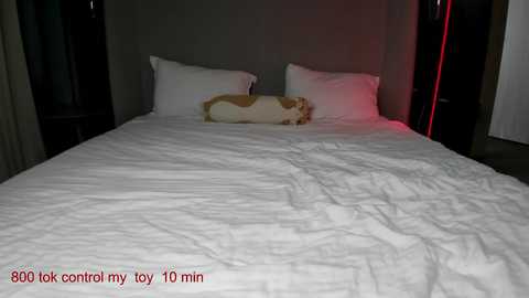 Media: carolinaherera Chaturbate 2025-09-08 07:33:00