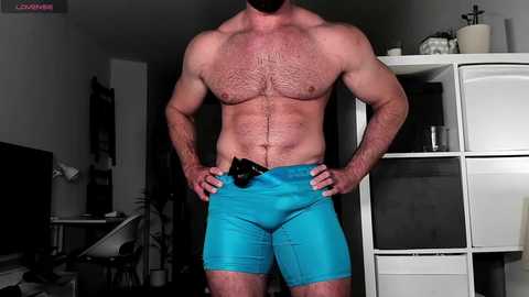cockheadstud