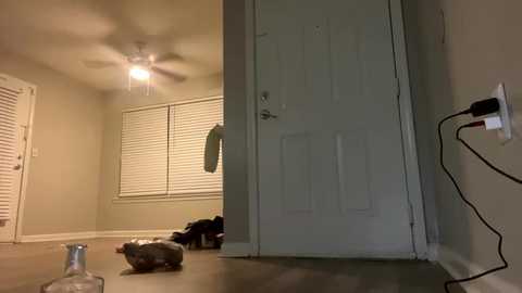 Media: alongcamelexy Chaturbate 2025-09-11 06:45:00