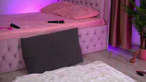 abbela_white