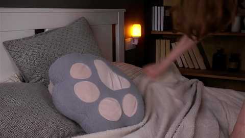 aislyfarran @ chaturbate on 20250913