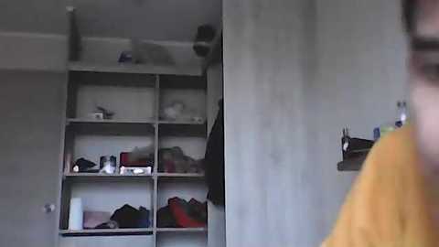 aladino_ms