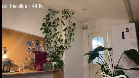 Media: flaming_hotty Chaturbate 2025-09-16 20:07:00