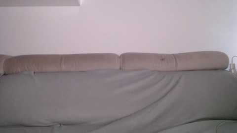 bella_alice