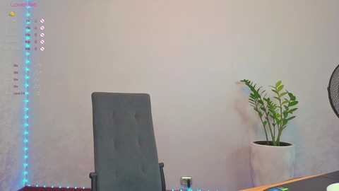 lovlybambi