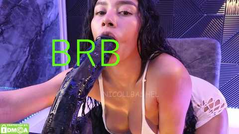 nicollbashel