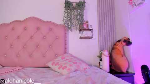sweet_nicole_1
