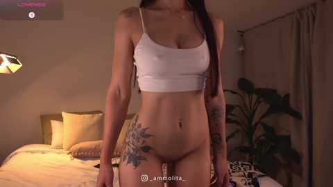 tef_1