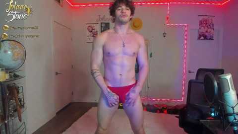 thejohnnystone