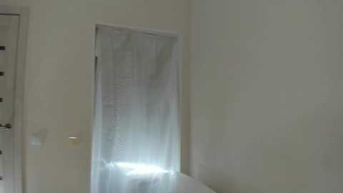 amaliapatron