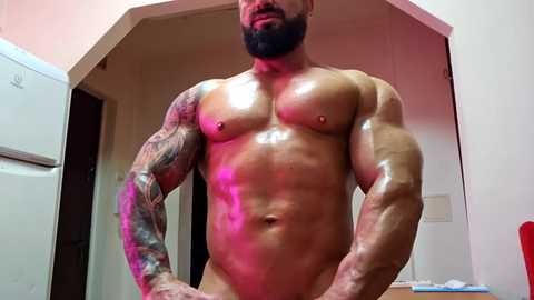 adonis_msc