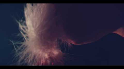 taanni_bc