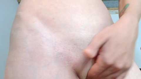 sexy_b0rsch