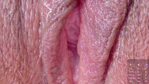 horny_moly