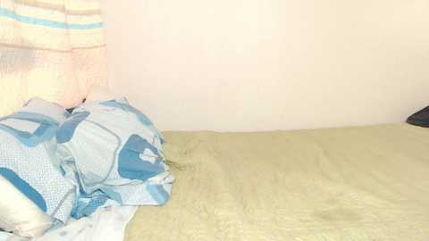 aladino_ms