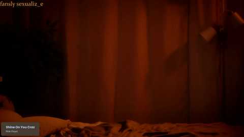 sexualiz_e