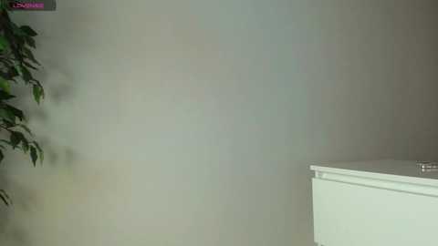 trixie_taylor