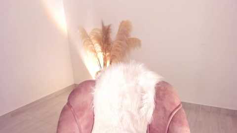 Media: kim_murphy Chaturbate 2025-10-04 20:09:00