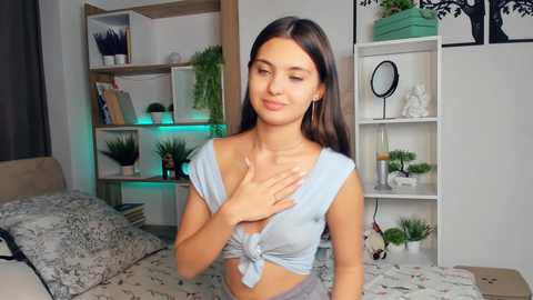 bunny_nova