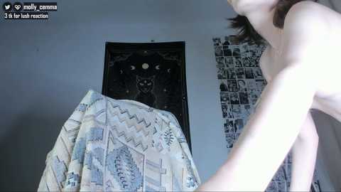 mollycemma