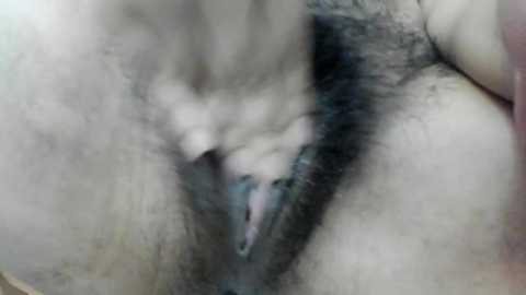nicebrown