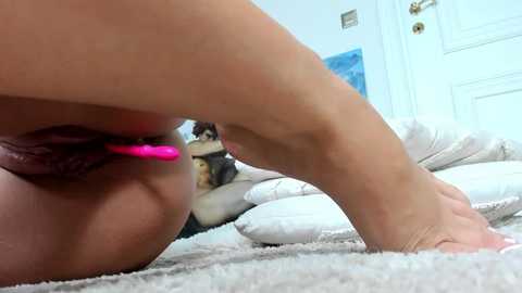 sincerelyc @ chaturbate on 20251006
