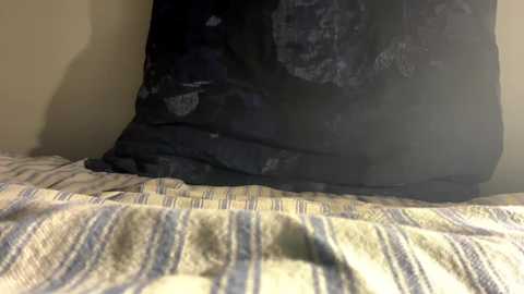 mollykate18