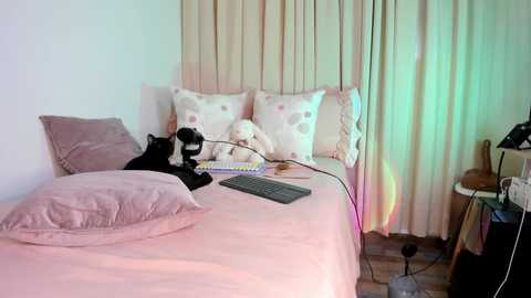 kitty__sophie