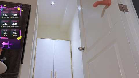 fallen_virtue @ chaturbate on 20251010