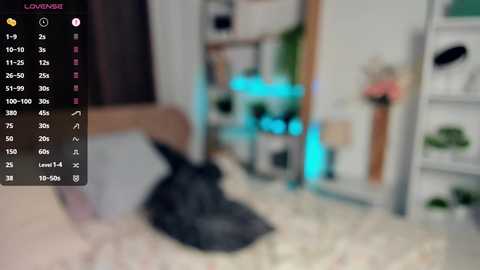 bunny_nova