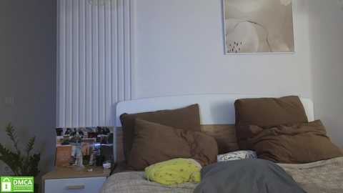evi_woow