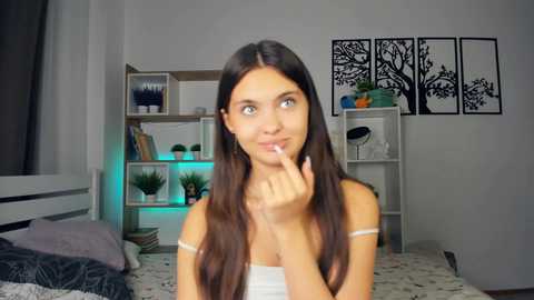 bunny_nova