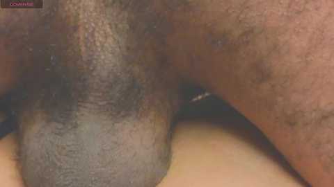 Media: gina_akemi Chaturbate 2025-10-15 13:49:00